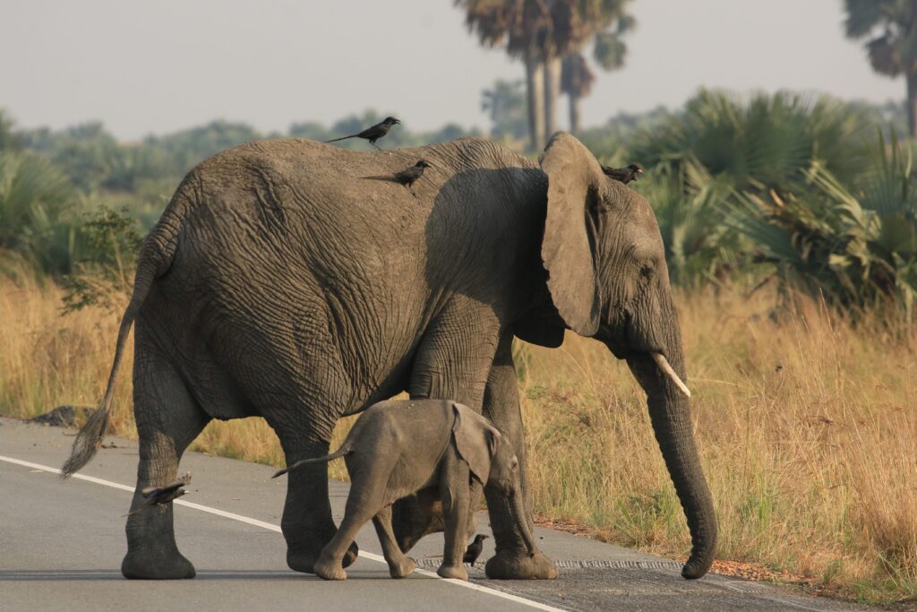 Community-based tourism